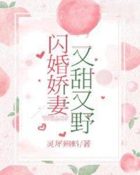 闪婚娇妻又甜又野