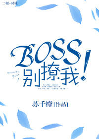 Boss别撩我！